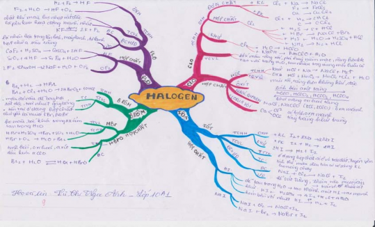 Sơ đồ tư duy của tổ 4 lớp 10A1 trường THPT Kiến An Hải Phòng về halogen 3