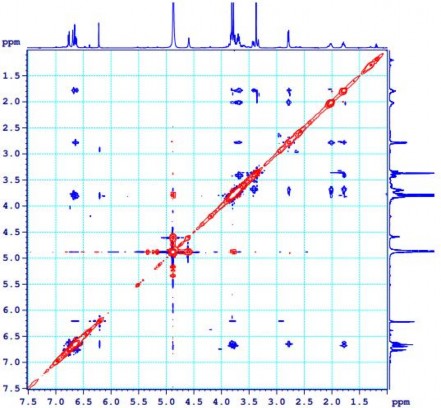 Hình 4 30 Phổ NOESY của chất PK7 Nhận xét về thành phần hóa học loài Thông Lá 1