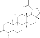 12 AT5 65 C 37 H 48 O 7 M 604 HOOCC 6 H 4 OC O H COOH H O 24 nor 11 O phthalyl 3 oxo lup 1