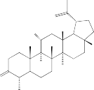 AT10 17 68 C 37 H 60 N 2 O 4 M 596 Dẫn xuất mới AT11 18 72 C 40 H 66 N 2 O 4 M 638 N 24 2