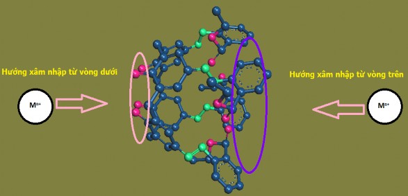 Hình 3 26 Hướng xâm nhập của ion kim loại vào phân tử TEAC Đối với phức 2