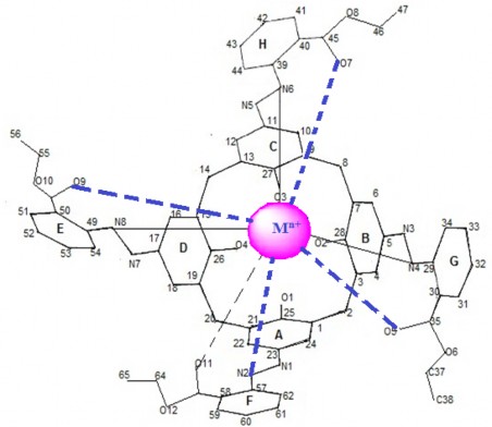 Hình 3 36 Thứ tự các nguyên tử trong phức TEAC ion kim loại M Kết luận phần 1
