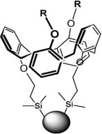 Hình 1 5 Cấu trúc của pha tĩnh silica calix 4 aren trong kĩ thuật HPLC Trong các 1