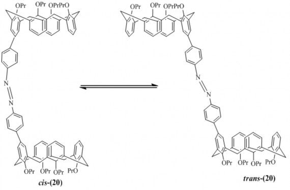 Hình 1 9 Hai dạng tồn tại cis và trans của azocalixaren 20 1 2 2 Tính chất 5