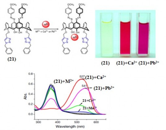 Hình 1 12 Phức màu của azocalixaren 21 với Ca 2 và Pb 2 Trong khi đó Chen và 8