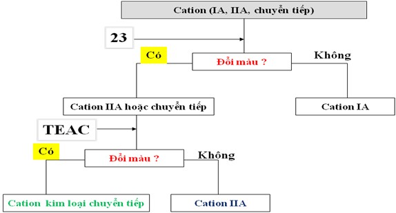 Hình 1 20 Sơ đồ phân tích định tính nhóm ion kim loại Như vậy các nghiên 1