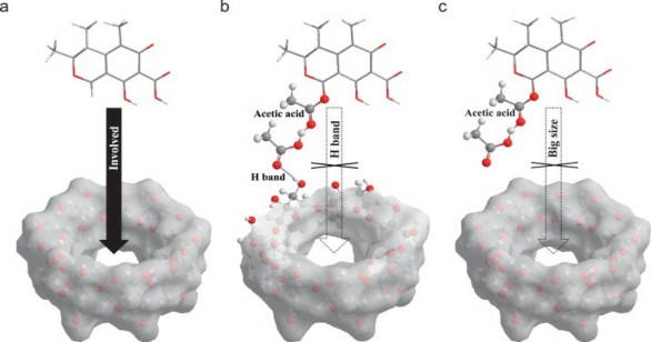 Hình 1 22 Một sơ đồ tạo phức Host Guest Kết luận Hóa học siêu phân tử và 3