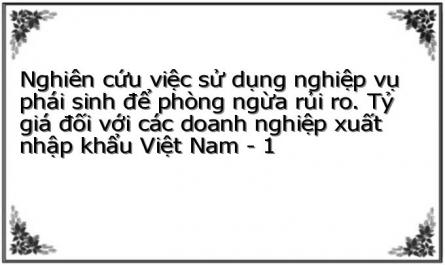 Nghiên cứu việc sử dụng nghiệp vụ phái sinh để phòng ngừa rủi ro. Tỷ giá đối với các doanh nghiệp xuất nhập khẩu Việt Nam - 1