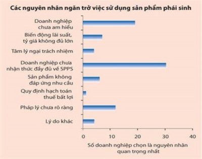 Nguồn Các rào cản trong việc sử dụng sản phẩm phái sinh PGS TS Nguyễn Thị 1