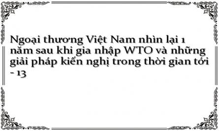 Ngoại thương Việt Nam nhìn lại 1 năm sau khi gia nhập WTO và những giải pháp kiến nghị trong thời gian tới - 13
