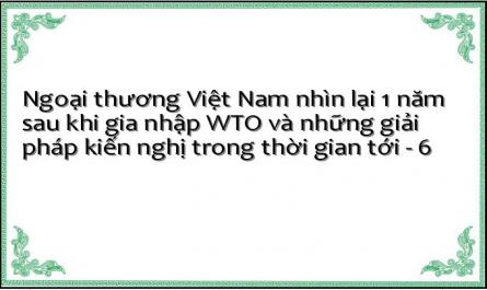 Thực Trạng Hoạt Động Xnk Việt Nam 1 Năm Sau Gia Nhập Wto
