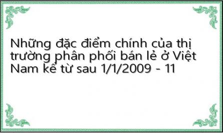 Những đặc điểm chính của thị trường phân phối bán lẻ ở Việt Nam kể từ sau 1/1/2009 - 11