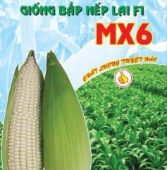 Nguồn ảnh http www ssc com vn vn product php id cat 5 id group 3 id set 30 Phụ Lục 3 2