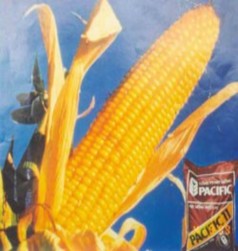 Nguồn ảnh http www ssc com vn vn product php id cat 5 id group 3 id set 30 Phụ Lục 3 3