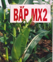 Nguồn ảnh http www ssc com vn vn product php id cat 5 id group 3 id set 30 Phụ Lục 3 5