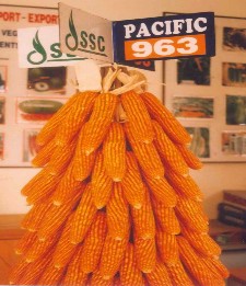 Nguồn ảnh http www ssc com vn vn product php id cat 5 id group 3 id set 30 Phụ Lục 3 6