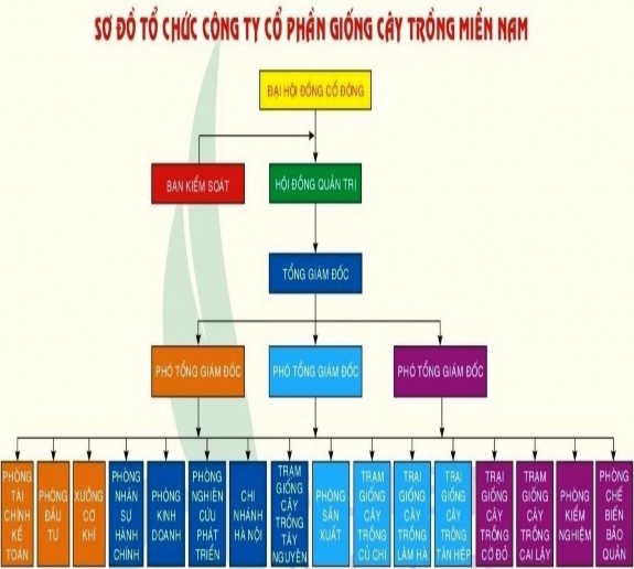 Nguồn http www ssc com vn vn status pages php id cat 2 id 280 b Chức năng và nhiệm vụ 1