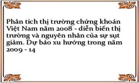 Phân tích thị trường chứng khoán Việt Nam năm 2008 - diễn biến thị trường và nguyên nhân của sự sụt giảm. Dự báo xu hướng trong năm 2009 - 14