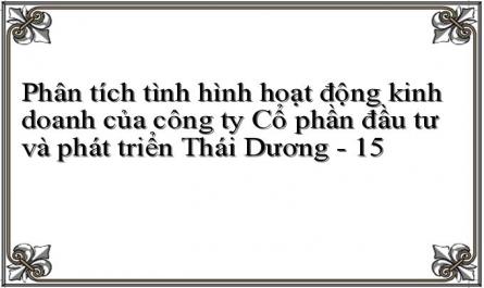 Phân tích tình hình hoạt động kinh doanh của công ty Cổ phần đầu tư và phát triển Thái Dương - 15