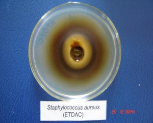 Hình 2 1 Ảnh được gây ức chế xung quanh giếng thạch Chúng tôi còn tiến hành 5