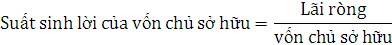 Suất sinh lời của vốn chủ sở hữu đo lường tính hiệu quả của đồng vốn 6