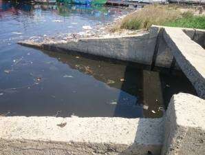 Cống xả số 1 Cống xả số 2 Hình 20 Hiện trạng cống xả nước mưa của KCN 6