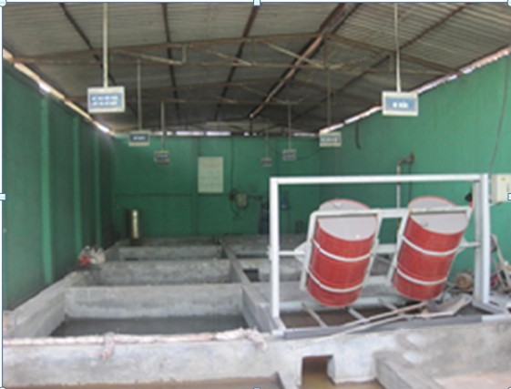 Hình 3 10 Hệ thống xúc rửa bao bì thải tại Công ty TNHH Thương mại Dịch vụ 3