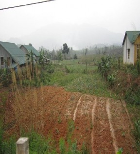 Ảnh 3 4 5 Người dân trồng rau màu tại khu TĐC Ảnh 6 Người dân nhận hỗ trợ 4