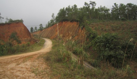 Ảnh 7 Đường vào khu TĐC Cân Tôm 2 7