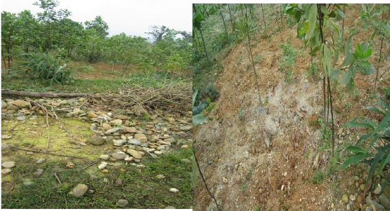 Ảnh 13 14 Đất canh tác tại khu TĐC nhiều đá sỏi Ảnh 15 Đốt rừng lấy 6