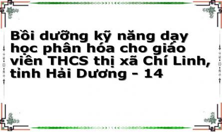 Bồi dưỡng kỹ năng dạy học phân hóa cho giáo viên THCS thị xã Chí Linh, tỉnh Hải Dương - 14