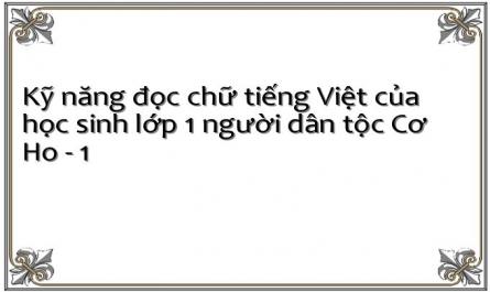 Kỹ năng đọc chữ tiếng Việt của học sinh lớp 1 người dân tộc Cơ Ho