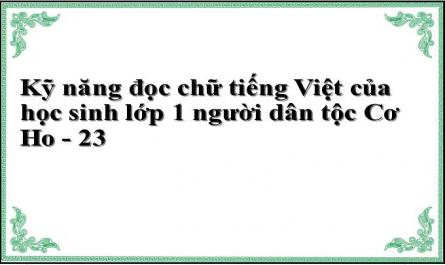 Các Mẫu Phiếu Quan Sát Kỹ Năng Đọc Chữ Tiếng Việt Của Học Sinh Lớp 1 Người Dân Tộc Cơ Ho