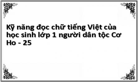 Kỹ năng đọc chữ tiếng Việt của học sinh lớp 1 người dân tộc Cơ Ho - 25