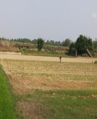 Hình ảnh các cánh đồng bị khô hạn ở huyện Quảng Điền Hình ảnh các khu 1