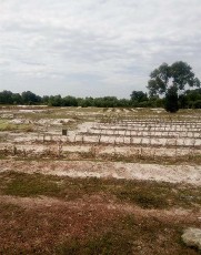 Hình ảnh các cánh đồng bị khô hạn ở huyện Quảng Điền Hình ảnh các khu 2