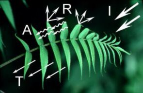 Hình 1 2 Sự tương tác sóng điện từ với vật thể Theo định luật bảo toàn 2