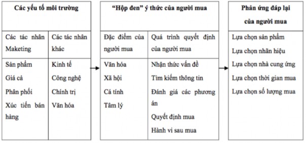 Hình 1 7 Mô hình tổng quát về hành vi khách hàng Nguồn Kotler P and Amstrong G 4