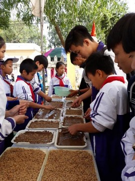 Dạy học thông qua hình thức trải nghiệm thực tế tại trường THCS Cổ Thành 8