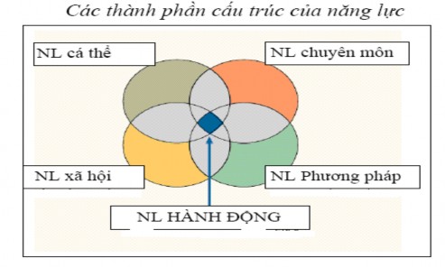 Sơ đồ 1 1 Các thành phần cấu trúc của năng lực Năng lực chuyên môn 1