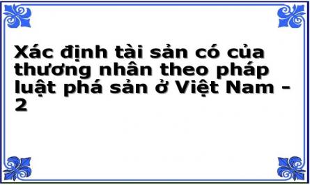 Xác định tài sản có của thương nhân theo pháp luật phá sản ở Việt Nam - 2