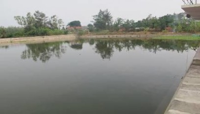 Hình 3 7 Ao nuôi cá nước ngọt tại xã Đồng Tiến huyện Cô Tô 3 3 3 Hoạt 2