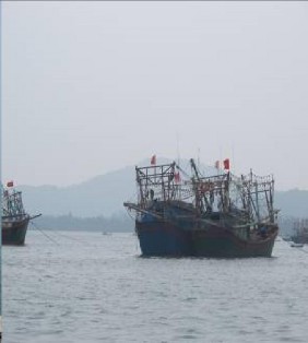 Hình 1 Hoạt động vận chuyển nguyên vật liệu xây dựng hạ tầng cơ sở trên 2