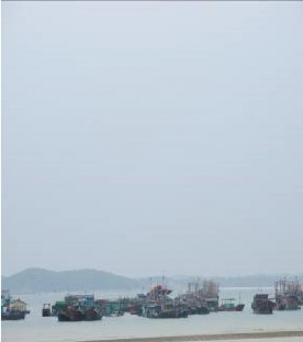 Hình 3 Lưới kéo rê Hình 4 Các tàu cá của ngư dân đảo Cô Tô 4