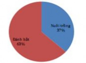 H ình 1 2 Cơ cấu đánh bắt nuôi trồng thủy sản Thế giới năm 2011 Nguồn 2