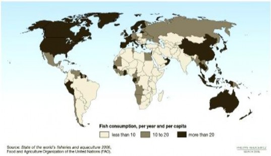 Hình 1 3 Nhu cầu tiêu thụ thủy sản Thế giới Theo nghiên cứu mức tiêu dùng 3