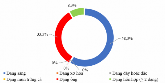 Biểu đồ 3 12 Phân bố các dạng ung thư biểu mô dạng tuyến nang Trong 16 1