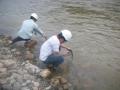 Đánh giá thực trạng quan trắc cảnh báo ô nhiễm sông Hồng đoạn chảy qua địa phận tỉnh Lào Cai - 12