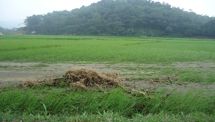 Hình 3 7 Những lớp bùn đất vẫn để lại từ trận lũ quét tháng 9 2012  3