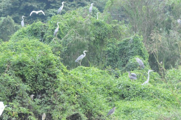 Hình 5 Tác giả làm việc với anh Nguyễn Văn Hoạt – Phó Chủ tịch UBND xã Ninh 3